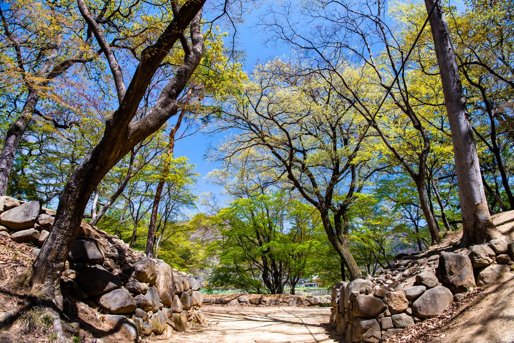 武田氏館(躑躅ヶ崎館跡)