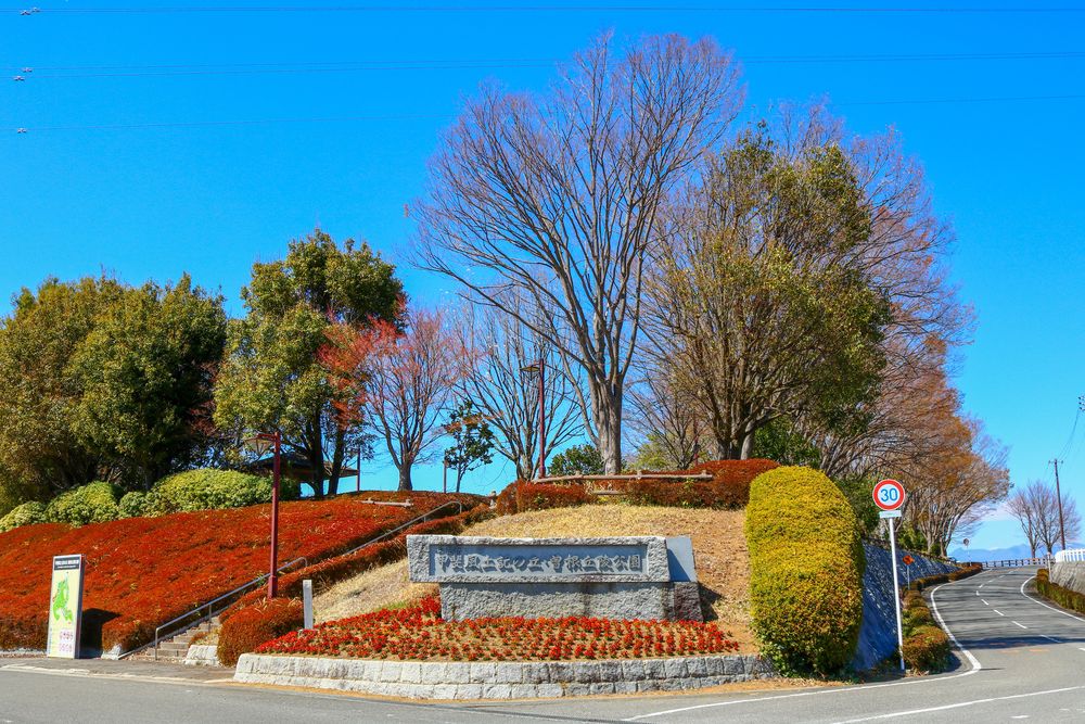 山梨県曽根丘陵公園の画像 - 2枚目
