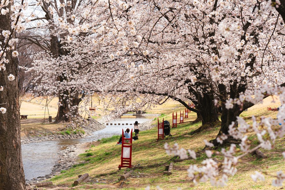 信玄堤公園の画像 - 5枚目