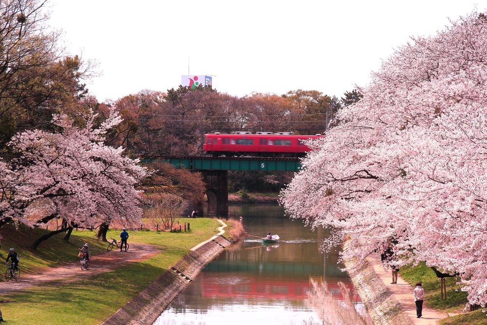 岡崎城公園の画像 - 3枚目