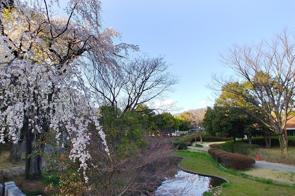 芸術の森公園の画像 - 4枚目