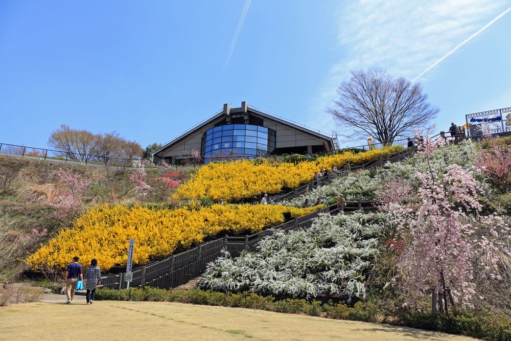 釈迦堂遺跡博物館の画像 - 3枚目