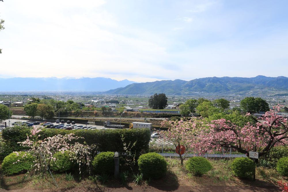 釈迦堂遺跡博物館の画像 - 4枚目