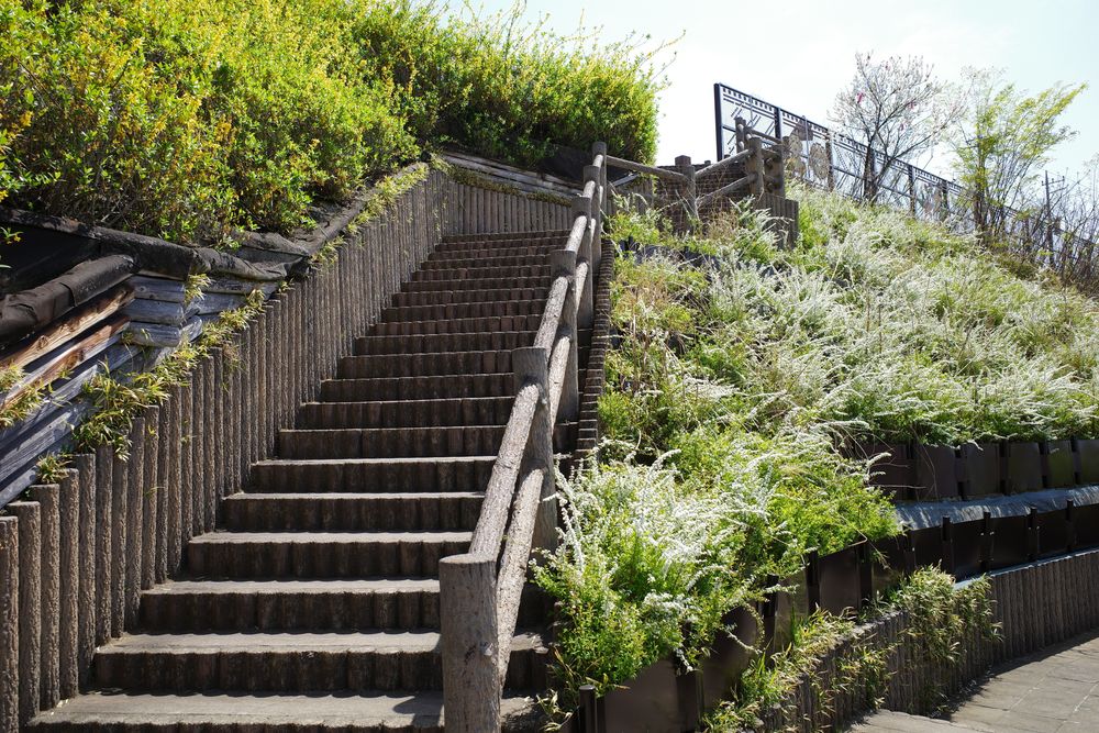 釈迦堂遺跡博物館の画像 - 5枚目