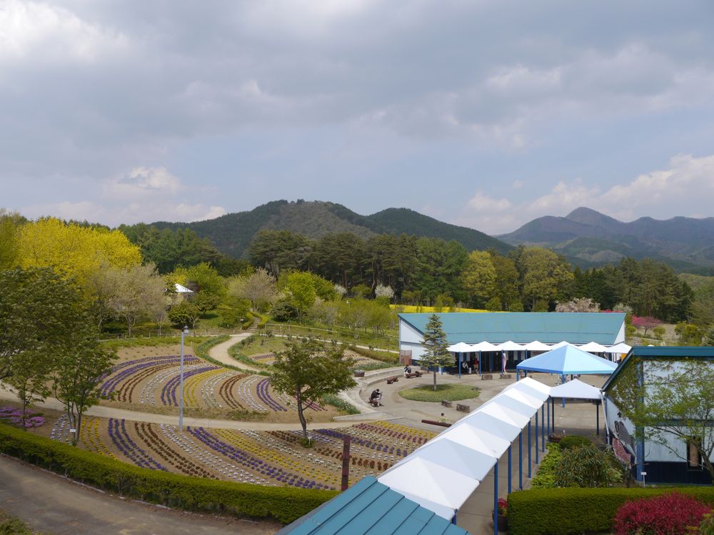 南八ヶ岳 花の森公園の画像 - 6枚目