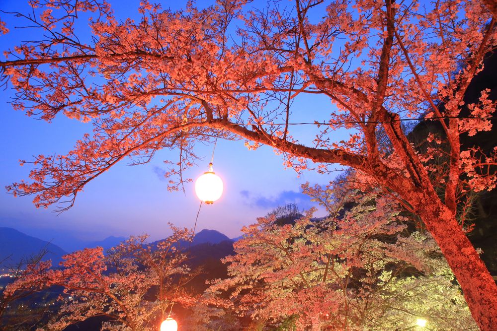 丸山公園の画像 - 3枚目