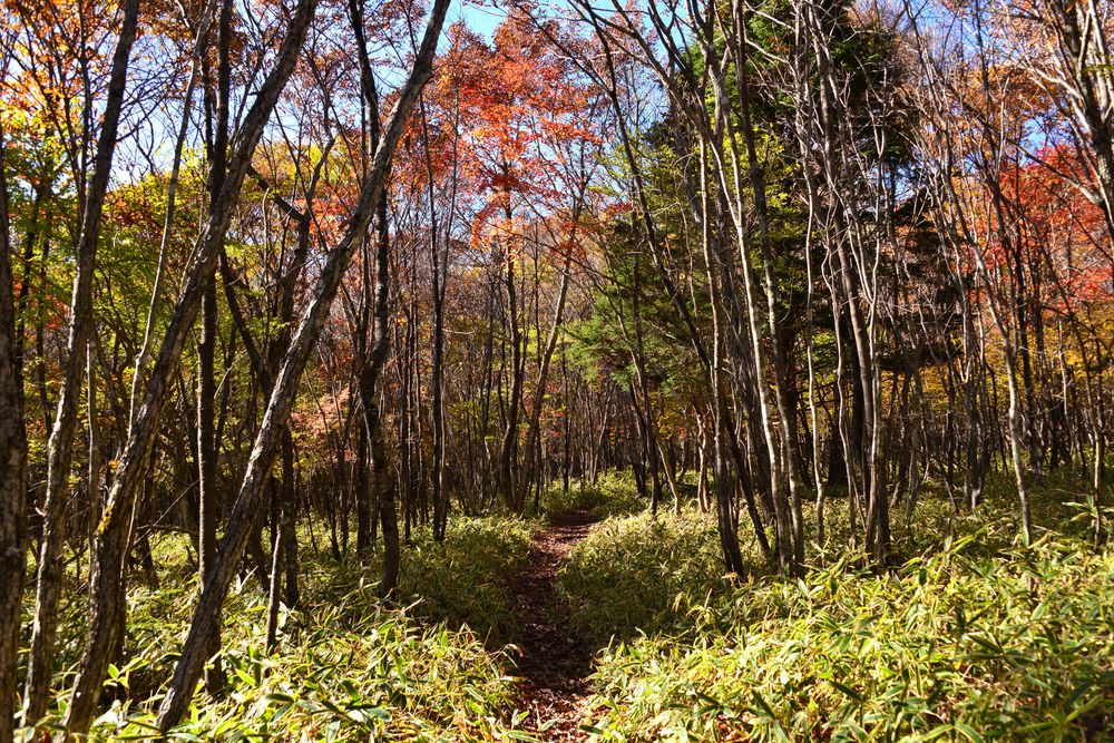 山梨県立八ヶ岳自然ふれあいセンターの画像 - 2枚目