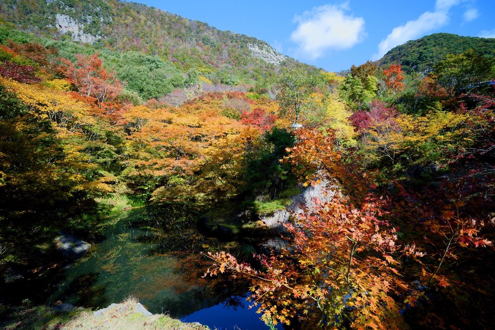 紅葉山公園