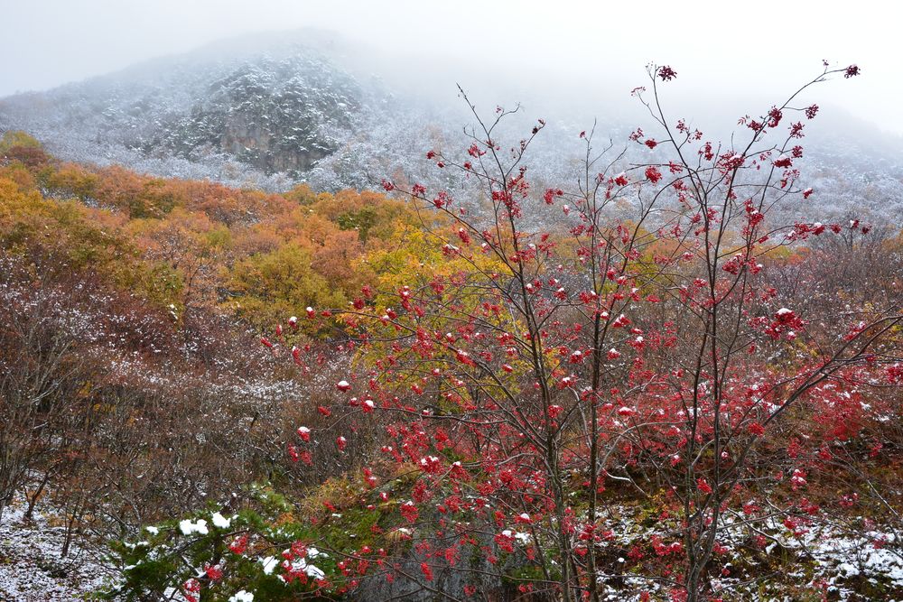 紅葉山公園の画像 - 3枚目