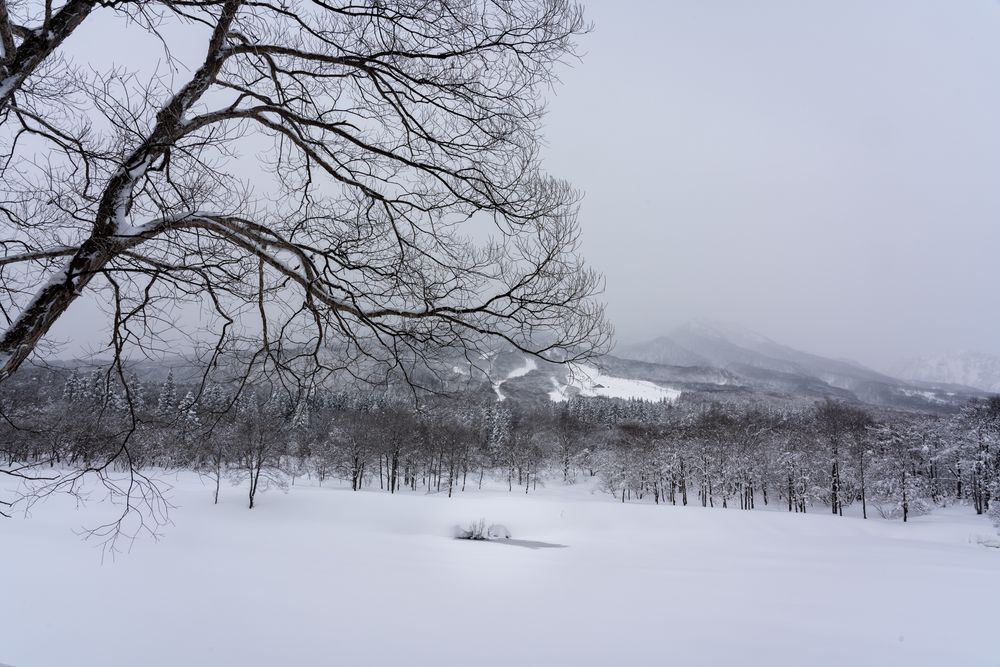 いもり池の画像 - 3枚目