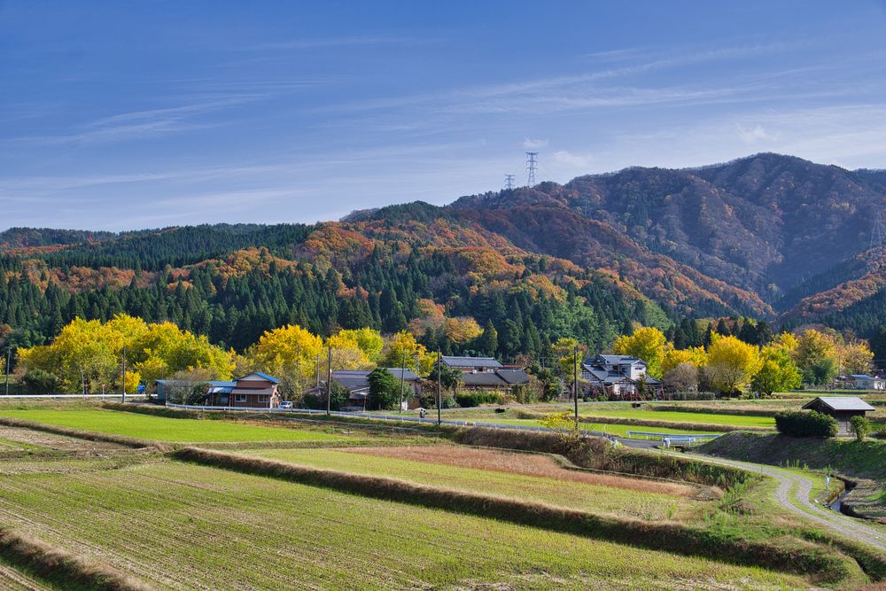 黄金の里の画像 - 2枚目