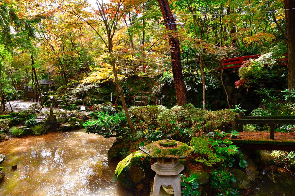 柏崎 松雲山荘庭園の画像 - 3枚目