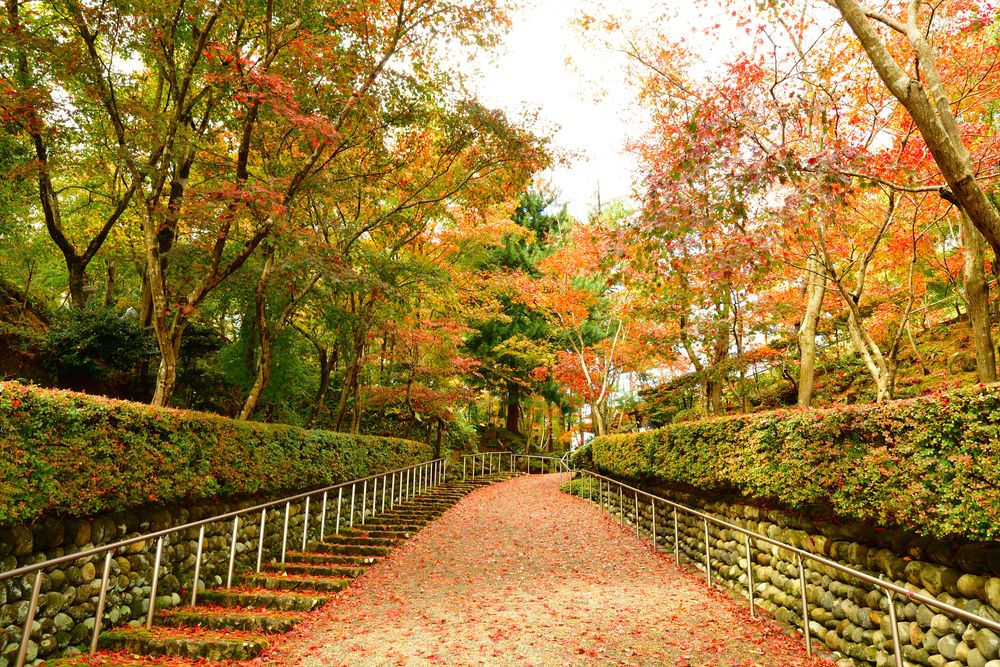 柏崎 松雲山荘庭園の画像 - 4枚目