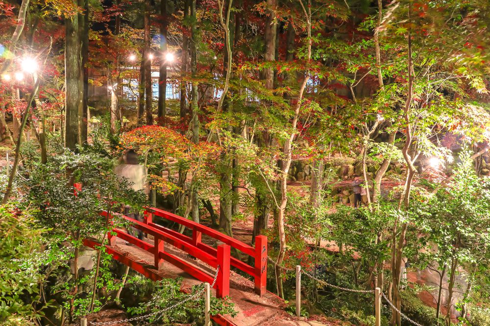 柏崎 松雲山荘庭園の画像 - 5枚目