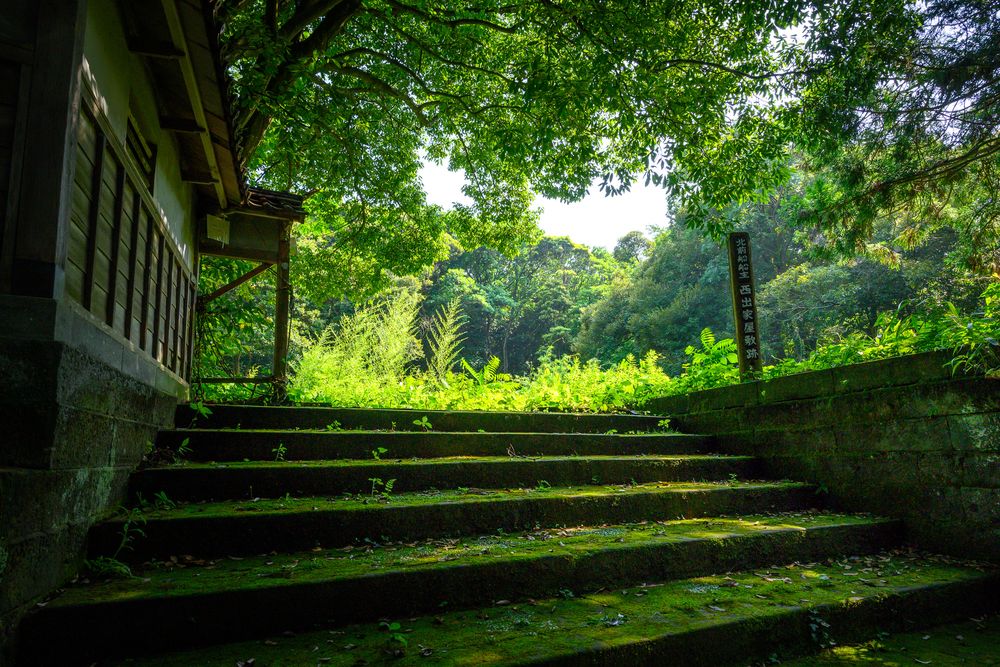 橋立自然公園の画像 - 4枚目