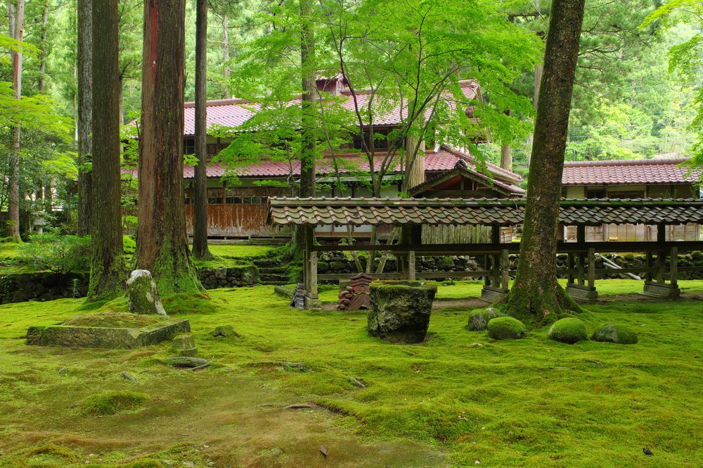 苔の里の画像 - 3枚目
