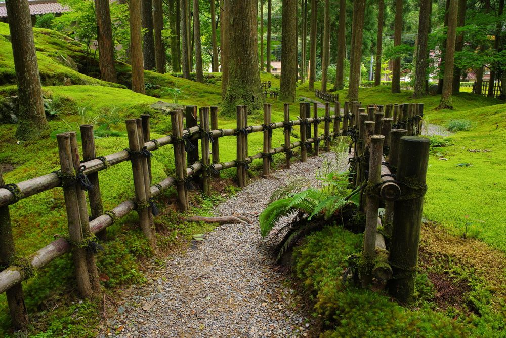 苔の里の画像 - 4枚目