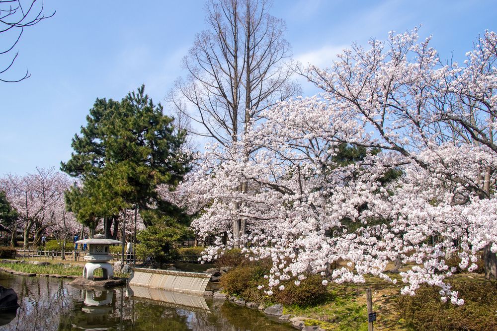 芦城公園の画像 - 2枚目