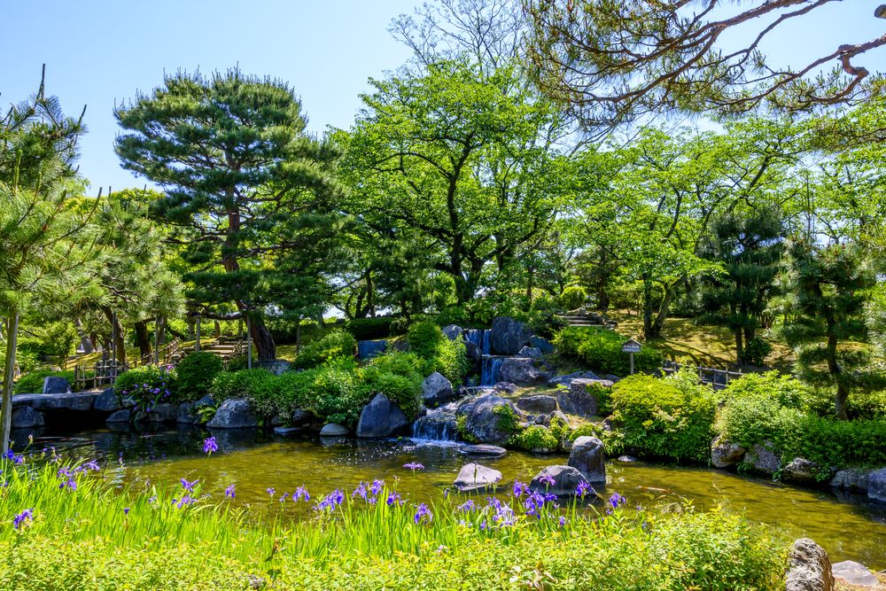 芦城公園の画像 - 5枚目