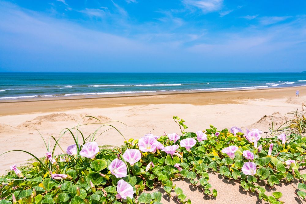 千里浜海水浴場