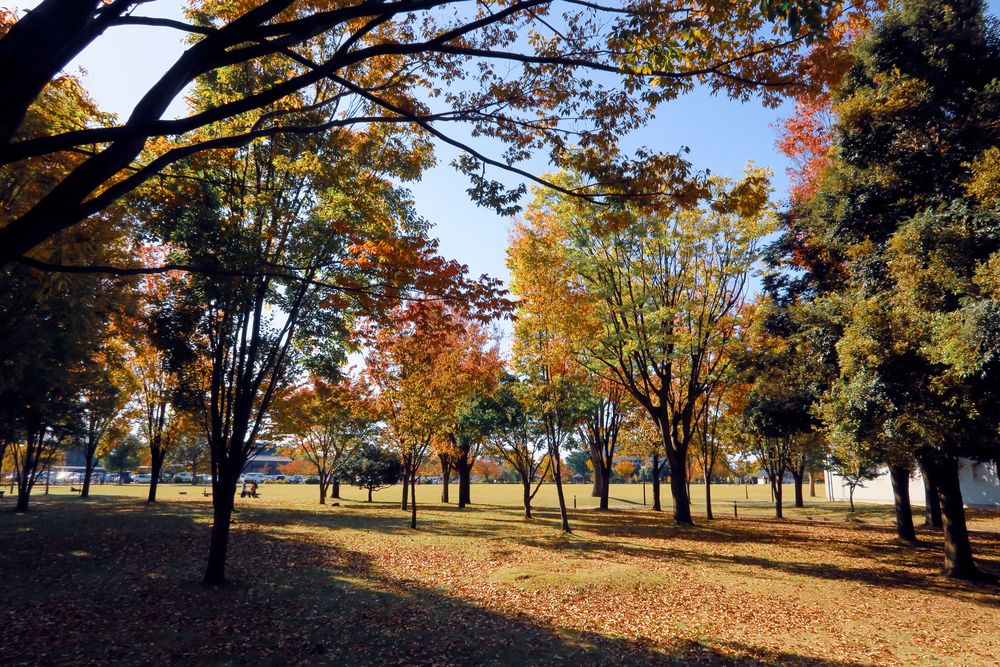 金沢市民芸術村の画像 - 5枚目