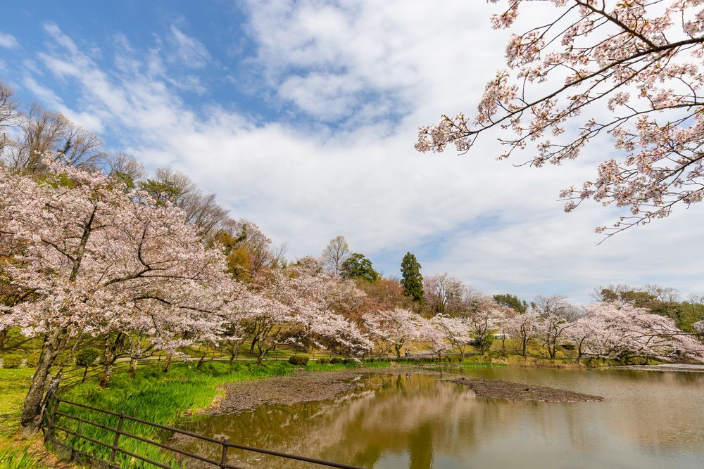 卯辰山公園の画像 - 2枚目