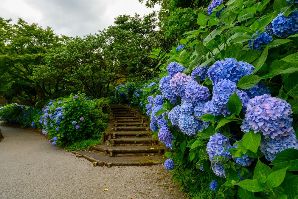 卯辰山公園の画像 - 4枚目