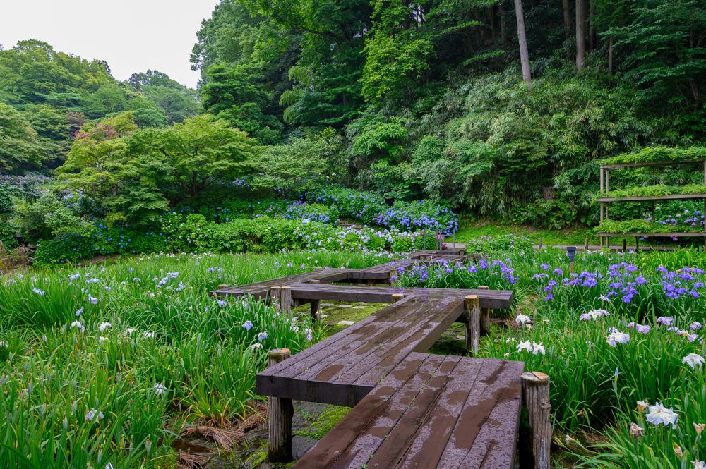 卯辰山公園の画像 - 7枚目