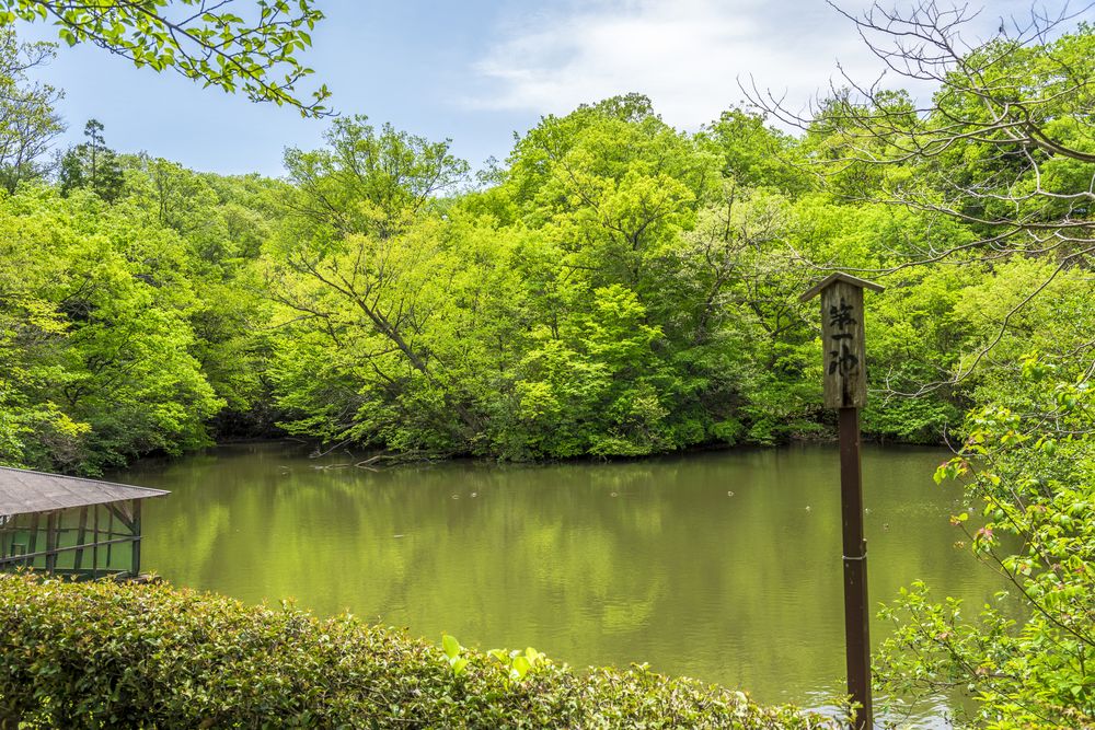 加賀市中央公園の画像 - 4枚目