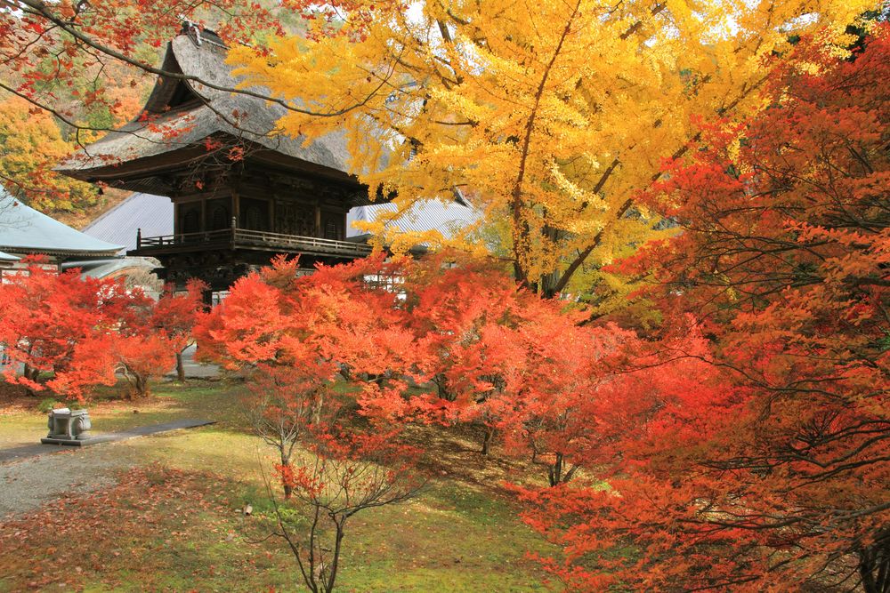 霊松寺の画像 - 2枚目