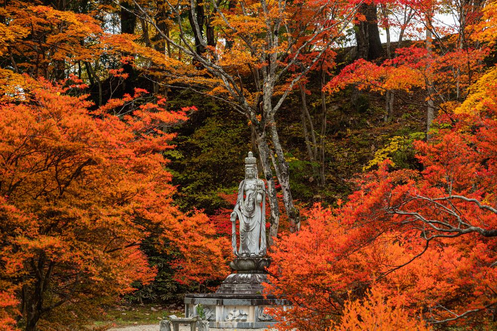 霊松寺の画像 - 3枚目