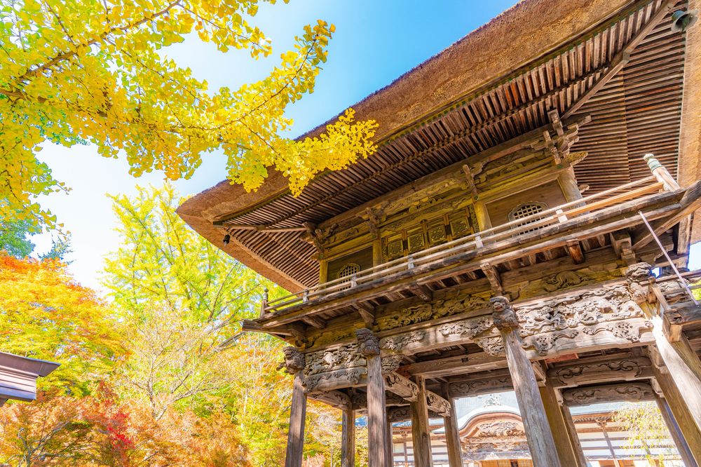 霊松寺の画像 - 4枚目