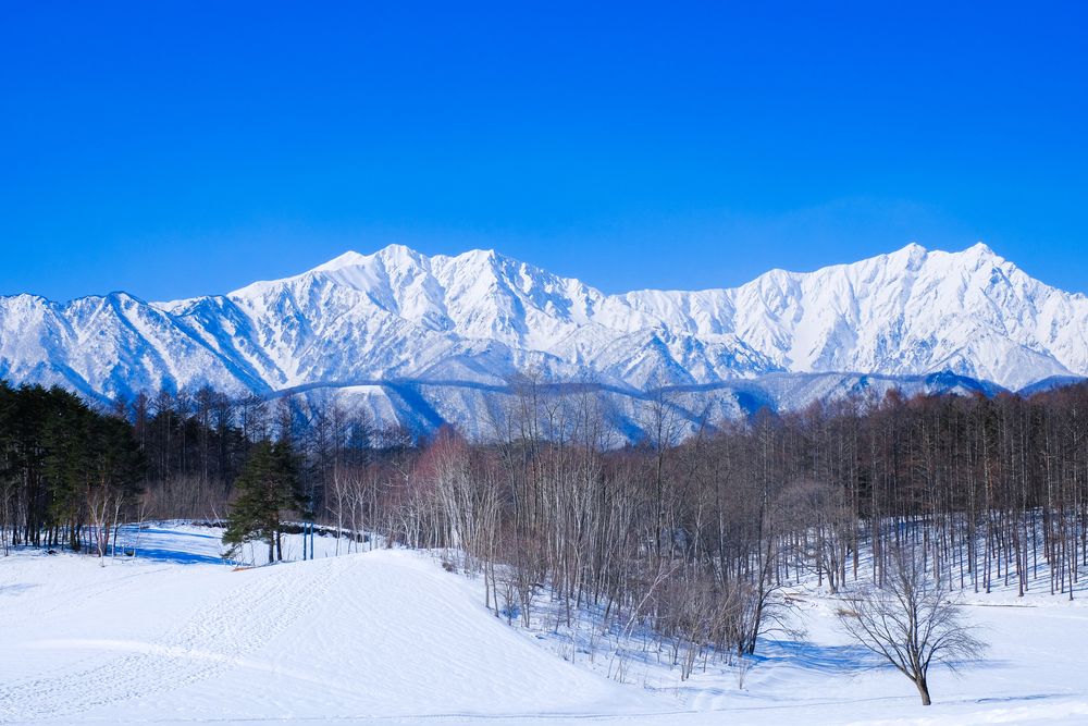 中山高原の画像 - 3枚目