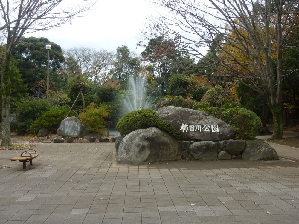 柿田川公園の画像 - 5枚目