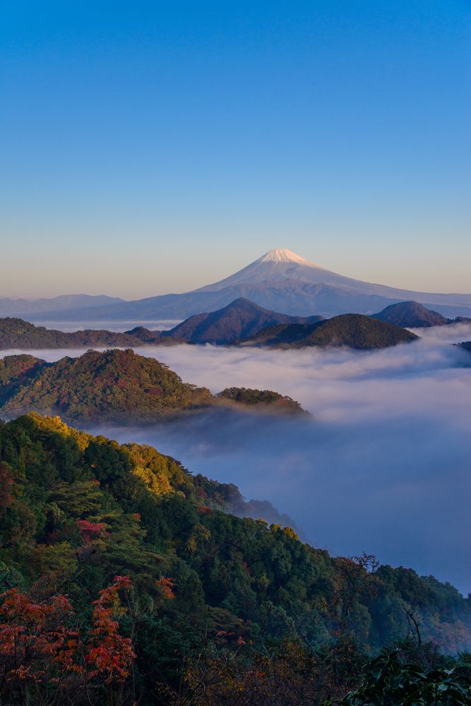 伊豆の国パノラマパークの画像 - 2枚目