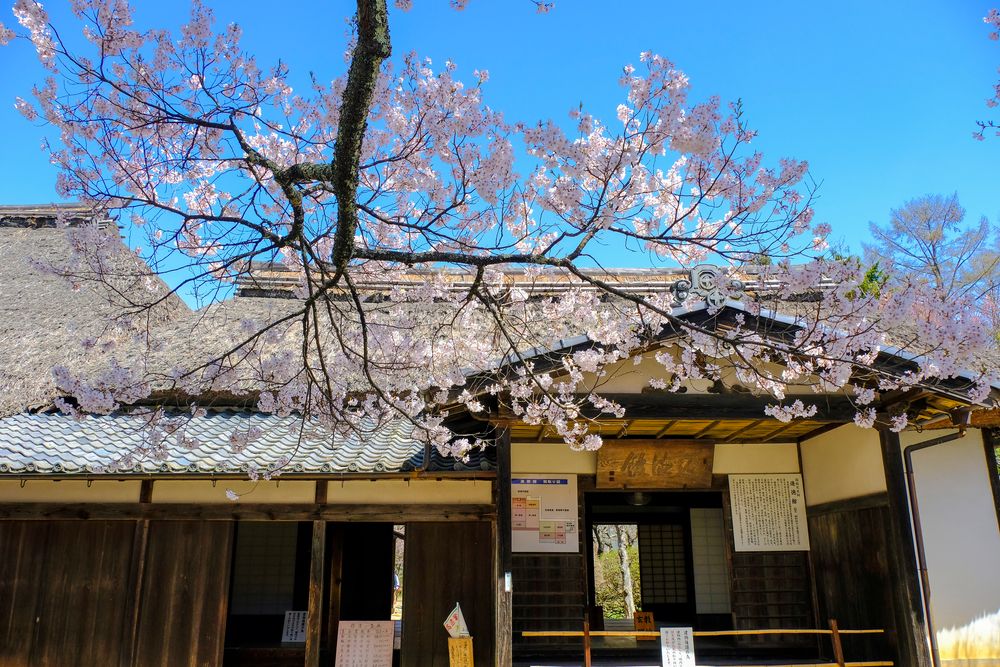 進徳館の画像 - 2枚目
