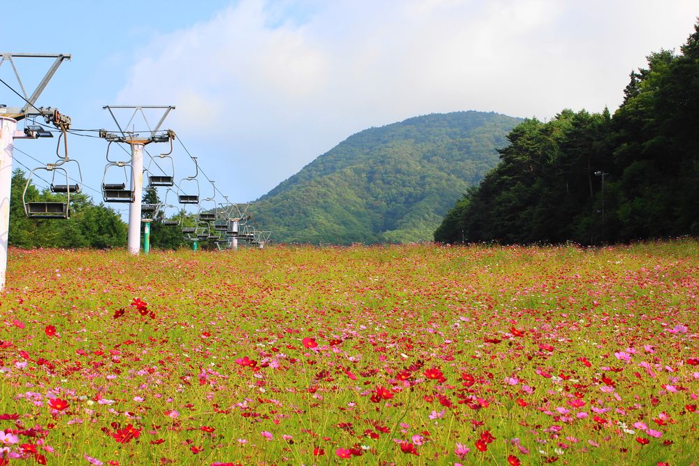 治部坂高原スキー場の画像 - 5枚目