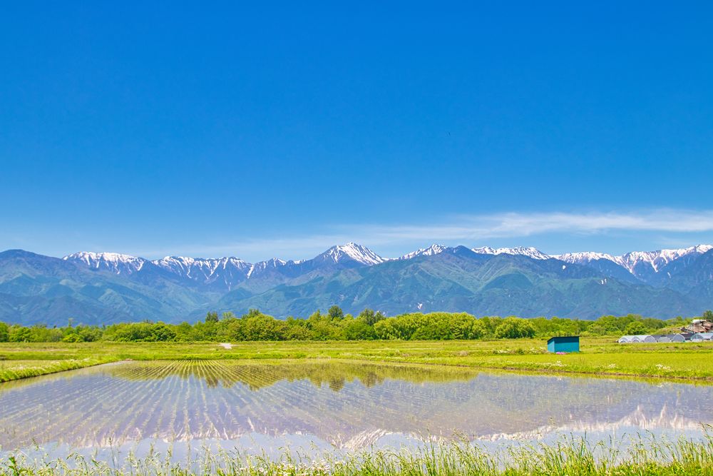 名水百選 安曇野の里の画像 - 3枚目