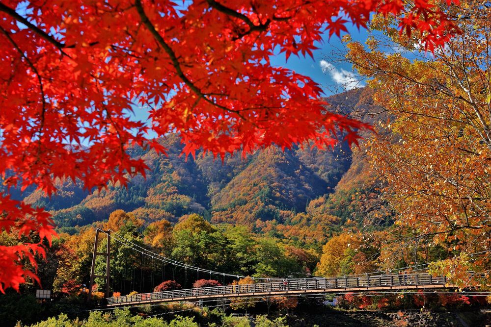 こまくさ橋の画像 - 3枚目