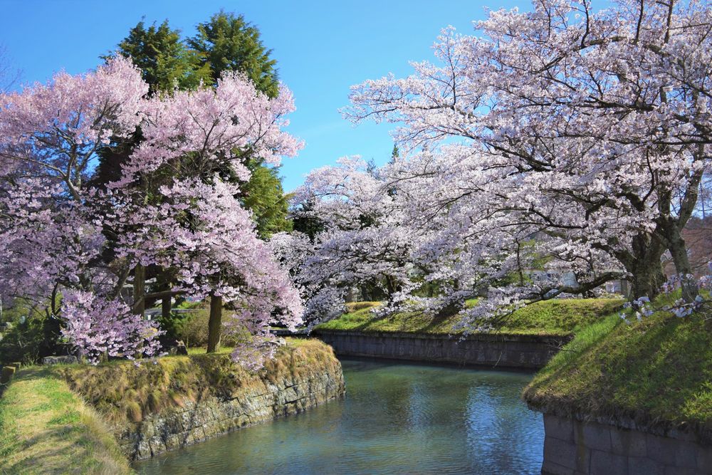 龍岡城五稜郭の画像 - 4枚目