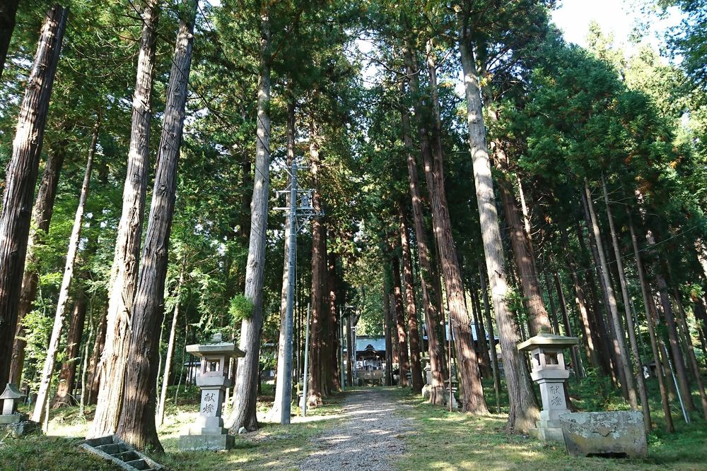 新海三社神社の画像 - 3枚目