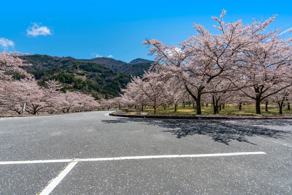 大西公園の画像 - 3枚目