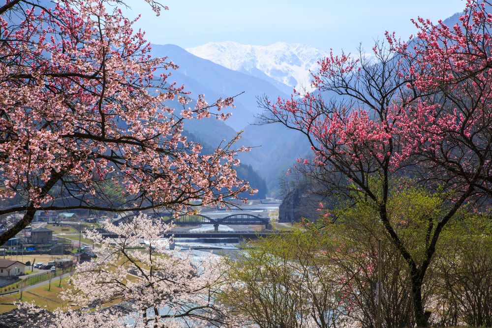大西公園】の周辺スポット・アクセス・口コミ - Prism Japan