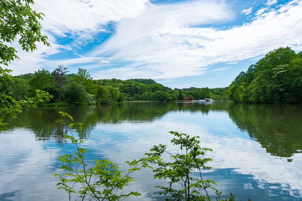 塩沢湖の画像 - 3枚目