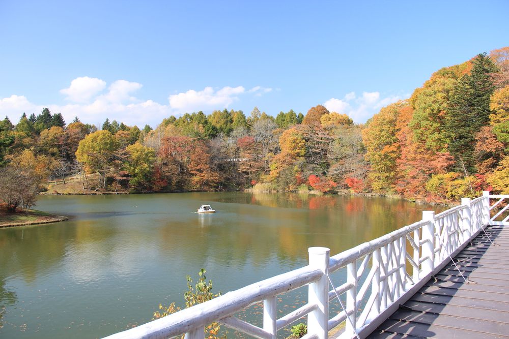 塩沢湖の画像 - 4枚目