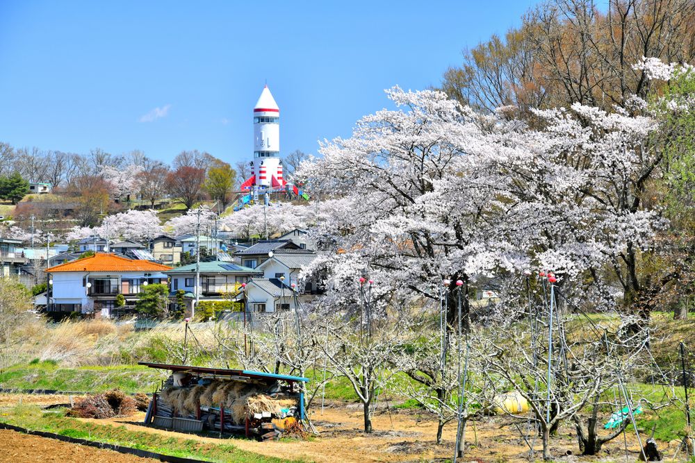 佐久市 稲荷山公園