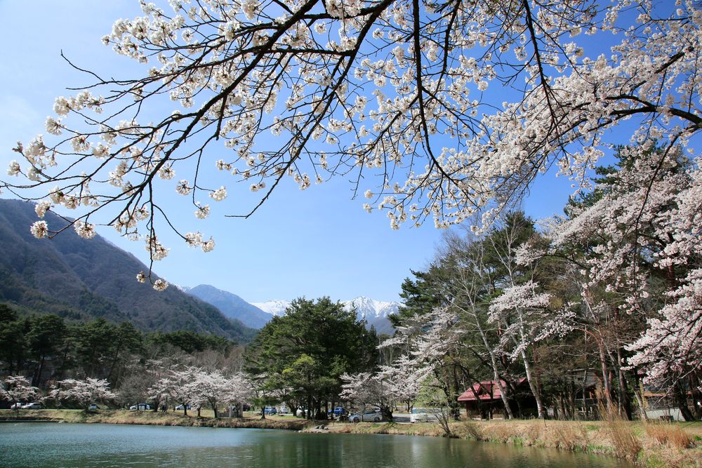 大沼湖の画像 - 2枚目