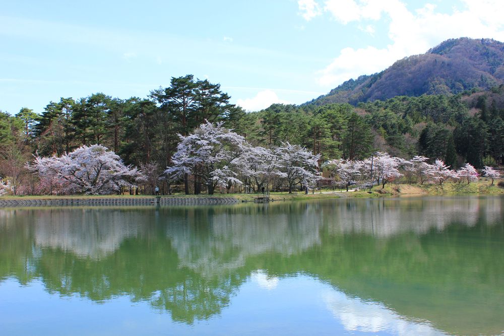 大沼湖の画像 - 3枚目