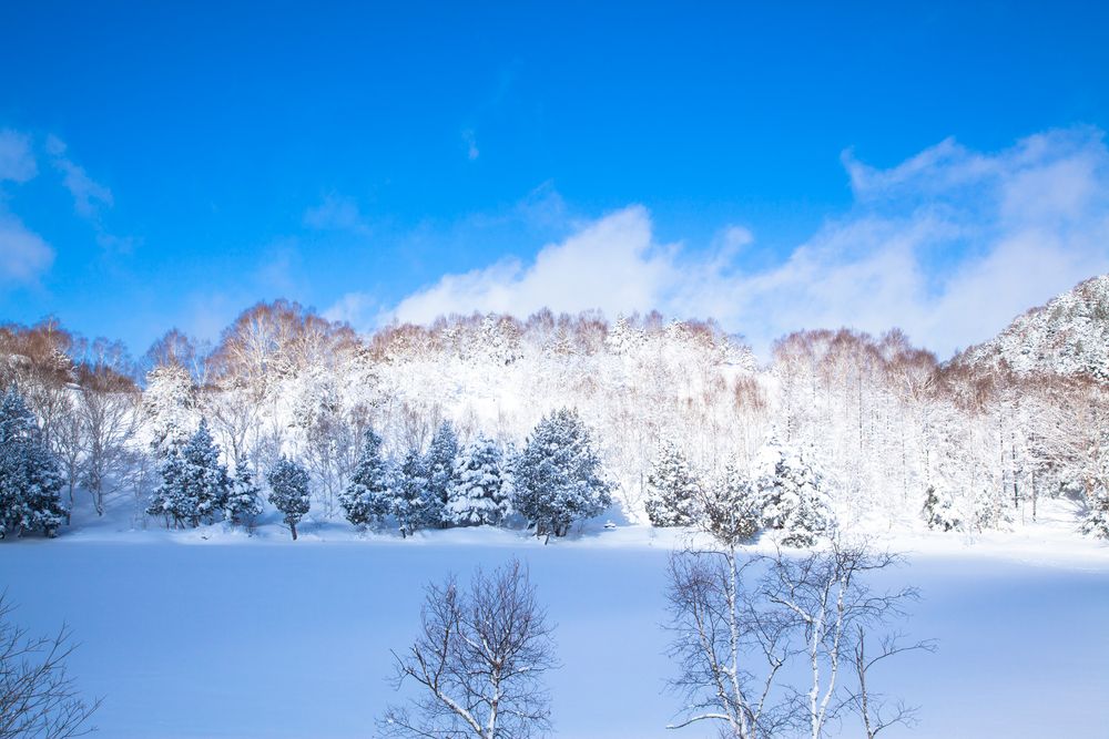 木戸池の画像 - 3枚目