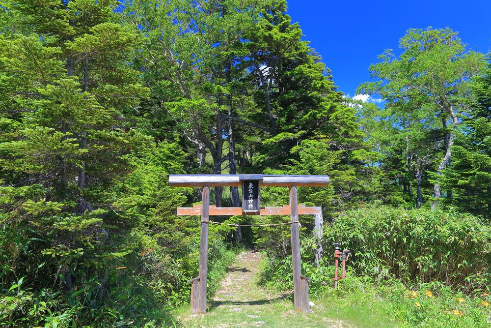東館山高山植物園の画像 - 4枚目